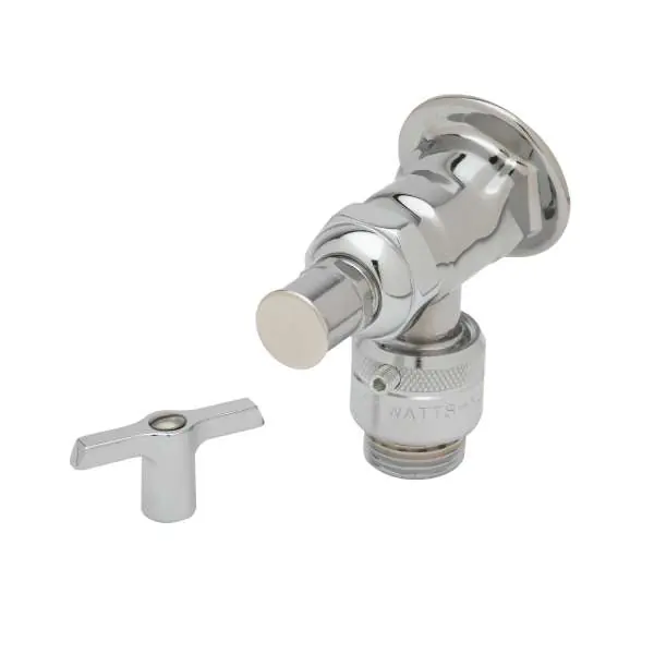 T&S Brass Faucets B-0737-POL