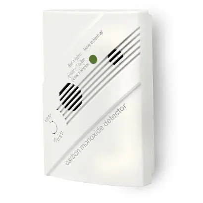 Edwards Signaling 260-CO 12/24VDC Carbon Monoxide Detector with SafeTest