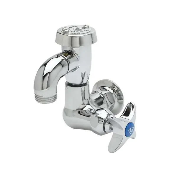 T&S Brass Faucets B-2301