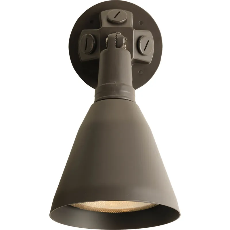 Progress Lighting P5202-20 1-150W Adjustable Wall Floodlight