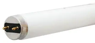 GE F17T8XLSPX50/ECO FLUOR LAMP