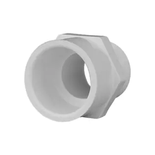 CHARLOTTE 436-005 PVC (Schedule 40) 2109 Series Male Adapter, MPT x S, 1/2