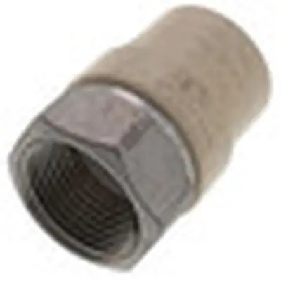 Everflow SSCPF100-NL Stainless Steel Female X CPVC Adapter Lead Free