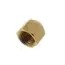 FLARE & COMPRESSION FITTINGS 40-4 Flare Cap Replacement MPN
