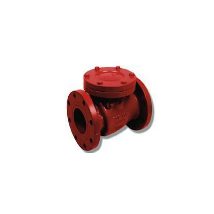 Matco V 120F10 Epoxy Coated Cast Iron Flanged Check Valve