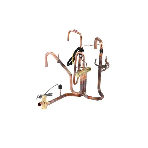 Bosch 8733953157 Reversing Valve System Assembly