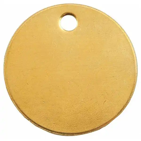 C.H. Hanson 41822 Brass Tags 1 in Diameter Replacement MPN