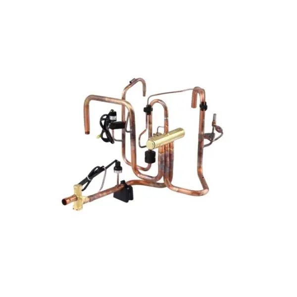 Bosch 8733953187 Reversing Valve System Assembly