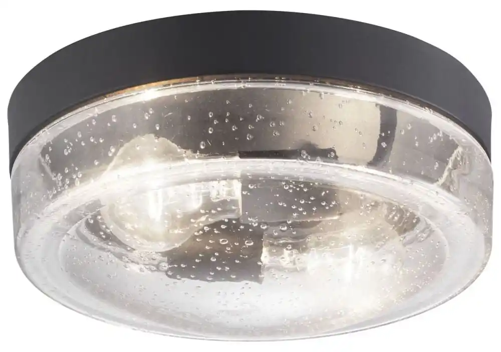 Progress Lighting P550042-031 Weldon 60W 2-Light Medium E-26 Incandescent Outdoor Ceiling Fixture