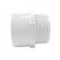 Charlotte 436-012 PVC (Schedule 40) 2109 Series Male Adapter, MPT x S, 1-1/4