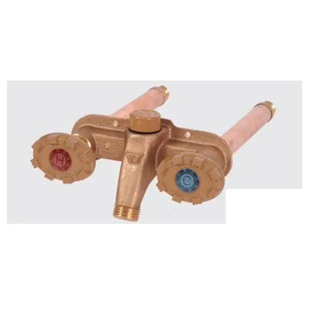 WOODFORD 22CP-6-BH Model 22 Freezeless Anti-Siphon Hot / Cold Wall Faucet