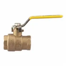 Watts 0555104 LFFBV-3C Full Port Brass Ball Valve, 1 inch, FIP x FIP