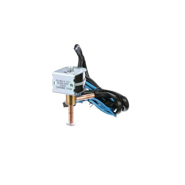 Bosch 8733953158 One Way Eev Valve