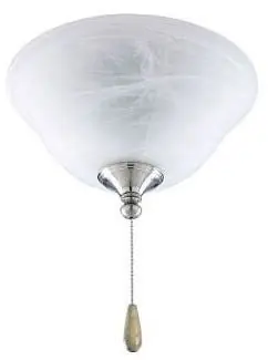 Progress Lighting P2621-09EBWB 2-18W Fan Lgt Kit