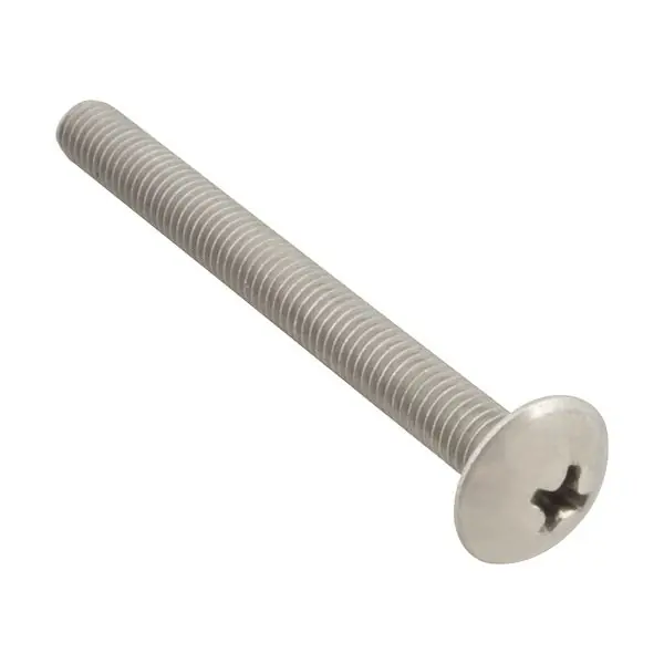 SCREW, MACH/TH/SS (100)
