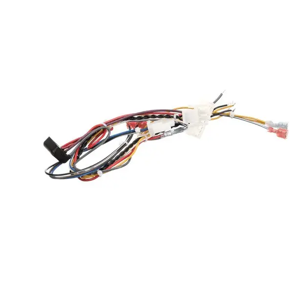 WRG BZL CPI W/DC TB-SRT for Pitco B6796201