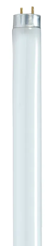 Satco S8421 T8 32W Fluorescent 5000K Natural Light
