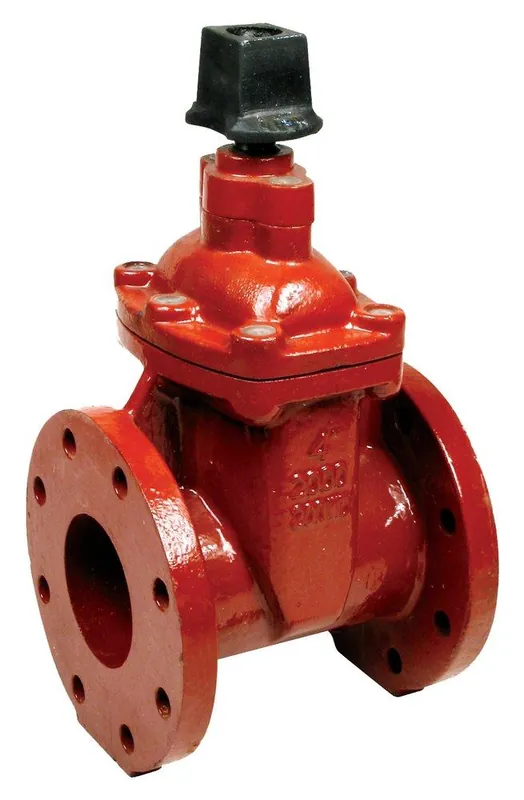 Matco-Norca 200WD14N 8 In. Ductile Iron Resilient Wedge Gate Valve with Stainless Steel Nut