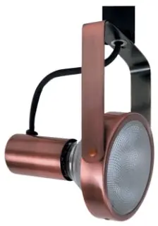 Elco ET631B PAR38 Gimbal Ring Fixture
