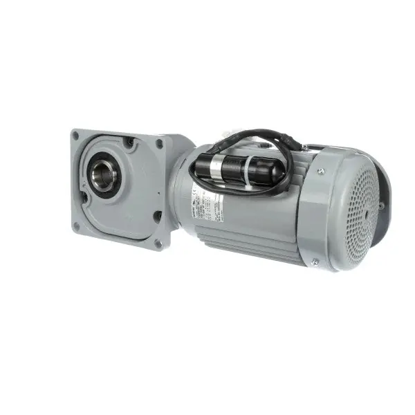 GEARMOTOR 120V N21436883 for Follett 130799