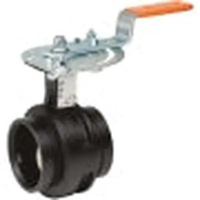 Victaulic V-020-761ST-2 Vic-300 MasterSeal 2 in. Ductile Iron Grooved Nitrile 10 Position Handle with Memory Stop Butterfly Valve