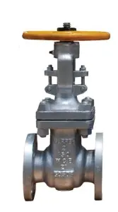 Warren Alloy 2121155C8 Gate Valve 150# CS FLGD