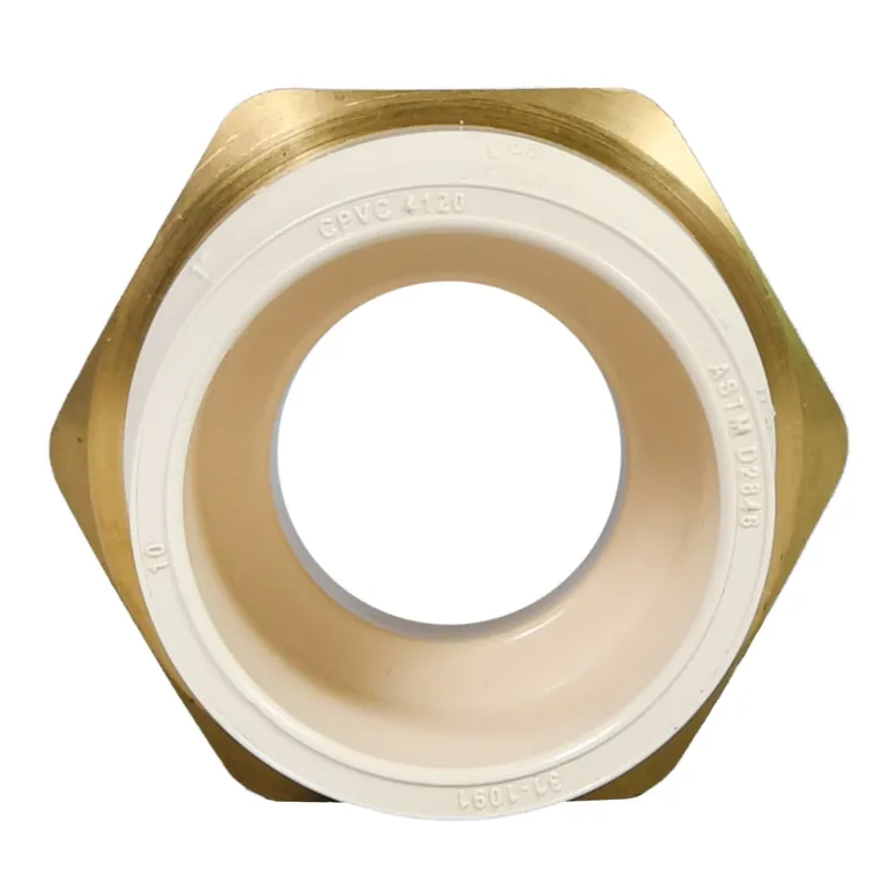 Charlotte Pipe CTS-02206B-1000 1 - CPVC Adapter (Female) - Slip x FIP