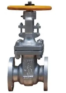Warren Alloy 61155C8 Gate Valve 150# CS Flgd