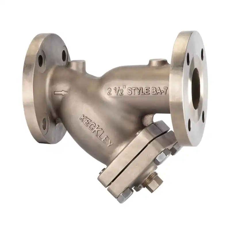 Keckley 21/22FFY-B2062P34-GBI-BA7 Wye Strainer With 1 in Blow-Off and 2-1/2 in Nominal