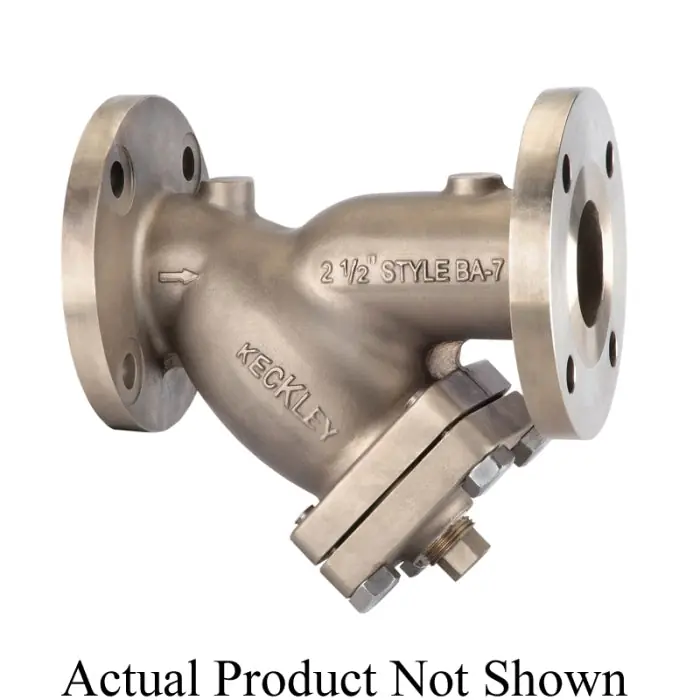 Keckley 22FFY-B2062P34-GBI-BA7 Wye Strainer With 1/16 in Perforated 304 Stainless Steel Screen