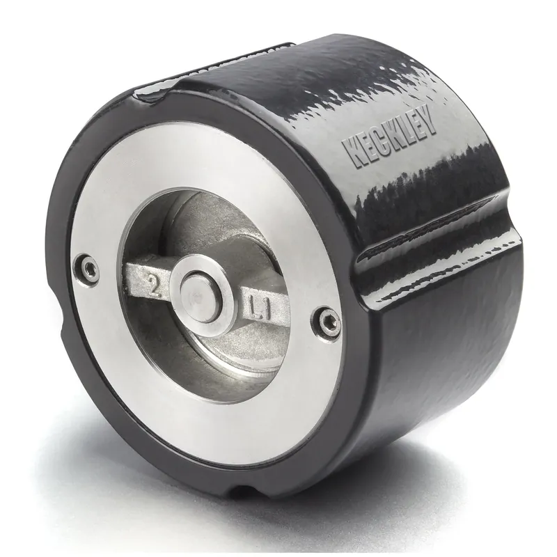 Keckley CW1F-CI-B2334-250 Silent Check Valve 2-1/2 in