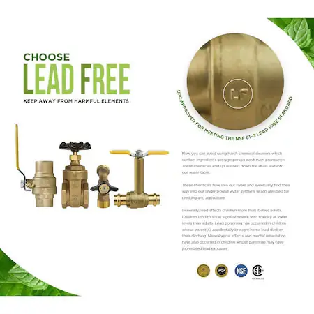 Everflow 150C200-NL SWT Inline Spring Loaded Check Valve Cast Brass 2 Inch