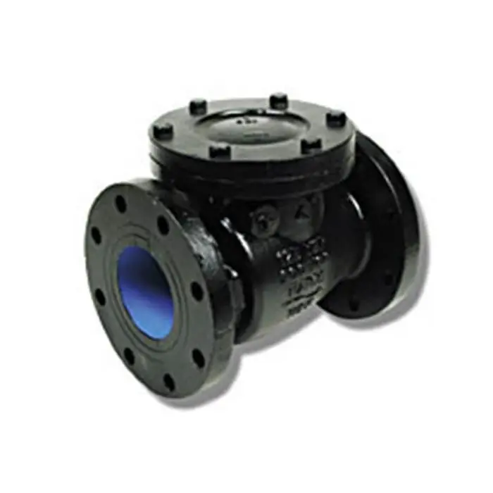 Matco V 115F09 - 2-1/2 in FLGD Ci Swing Check Valve-Ibbm 125Swp 200Wog