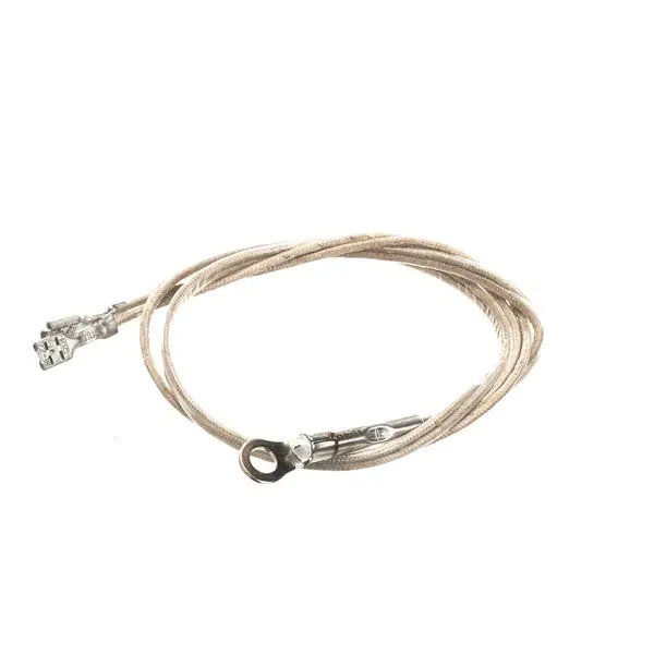 Probe Temp-Rtd-20 Leads 2J-Z16944 for Wells