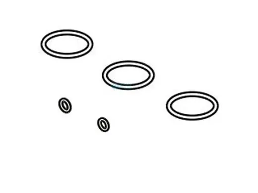 Raypak 017157F O-Ring Seals 5 Kit