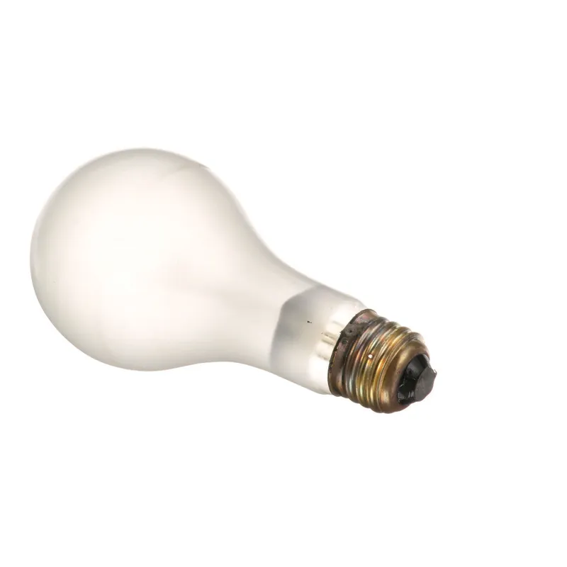 BULB 100W CLEAR 8011402 for Mavrik 8011402