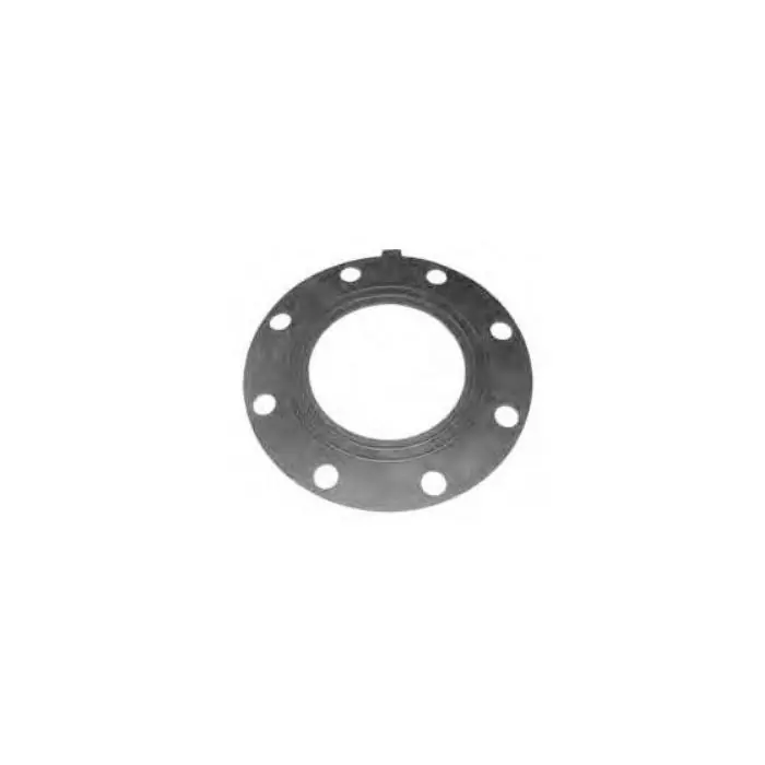 Asahitec 3113100 Gasket 10 in