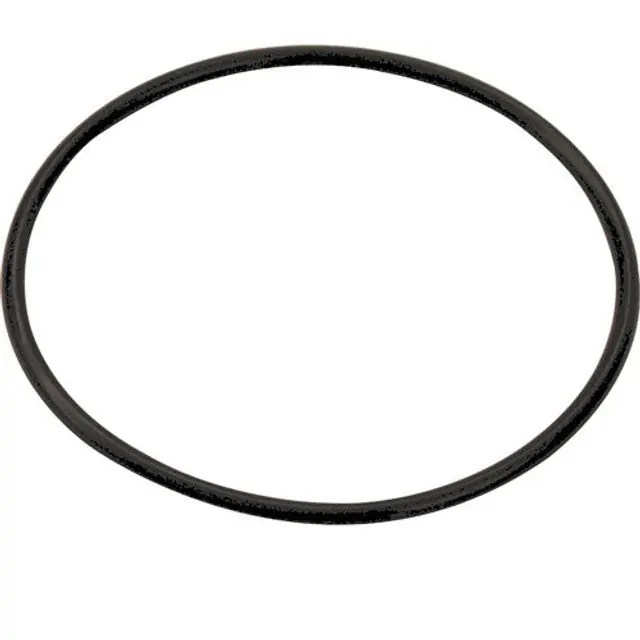 O Ring for 5 & 10 Scal 1171449 for Mavrik  1171449