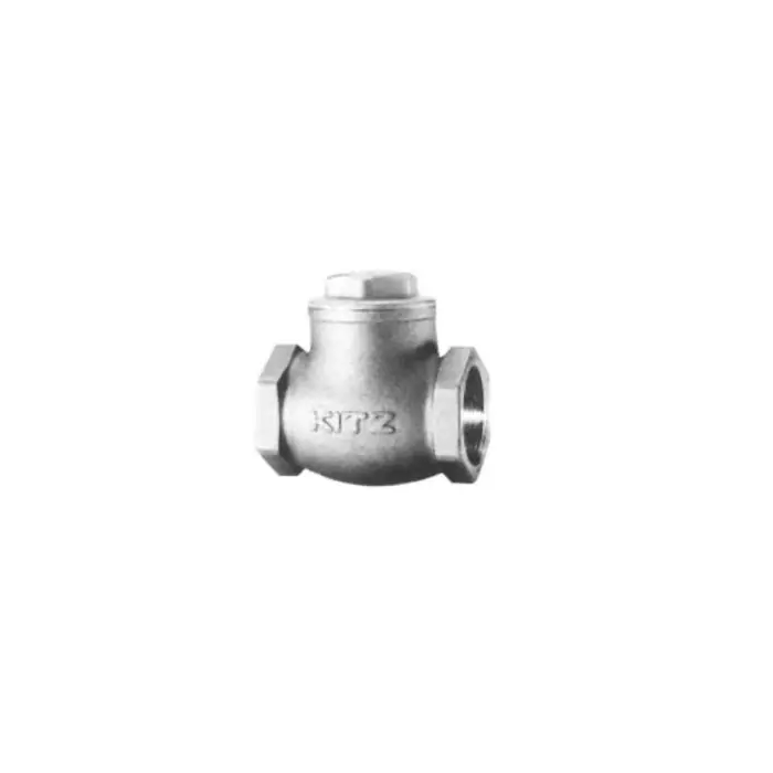 Kitz 804-100 Check Valves