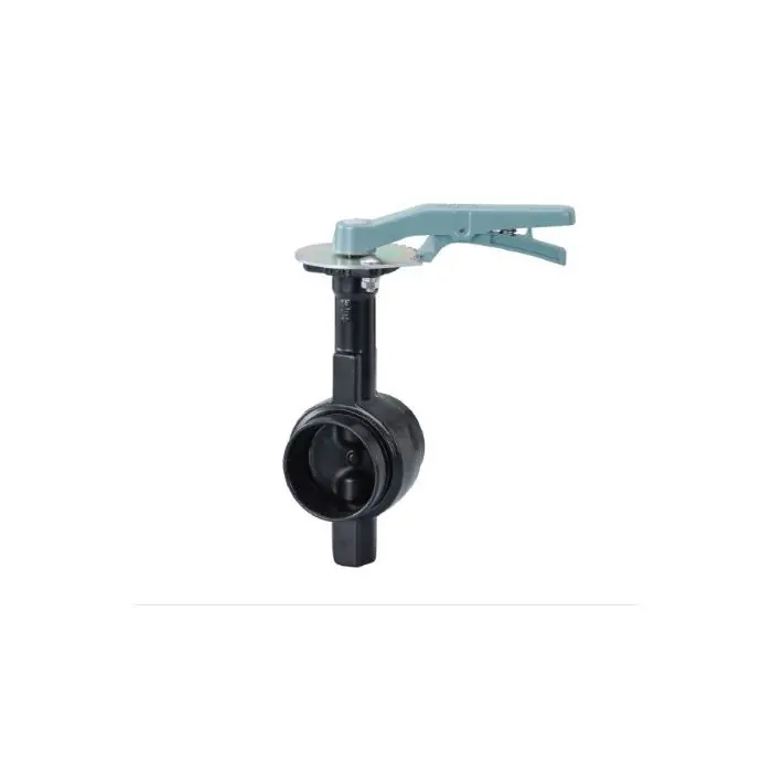 Kitz 4244L-212 2 1/2 Grooved Nylon Coated Ductile Iron EPDM Coated Disc Lever Butterfly Valve