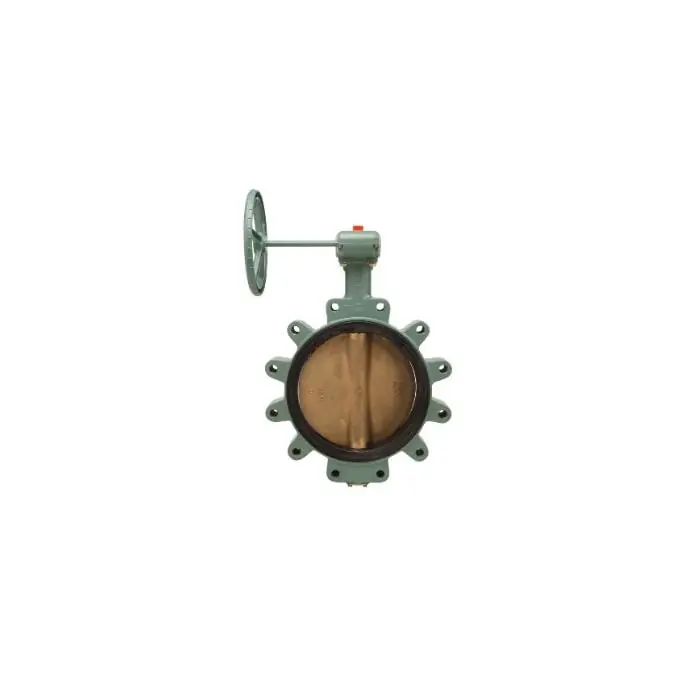 Kitz 6123EG-910 Butterfly Valve - 250 PSI - 10 in