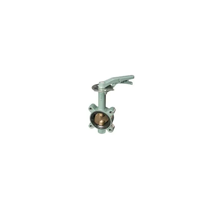 Kitz 6123EL-212 Butterfly Valve - 2-1/2 inches - 250 PSI