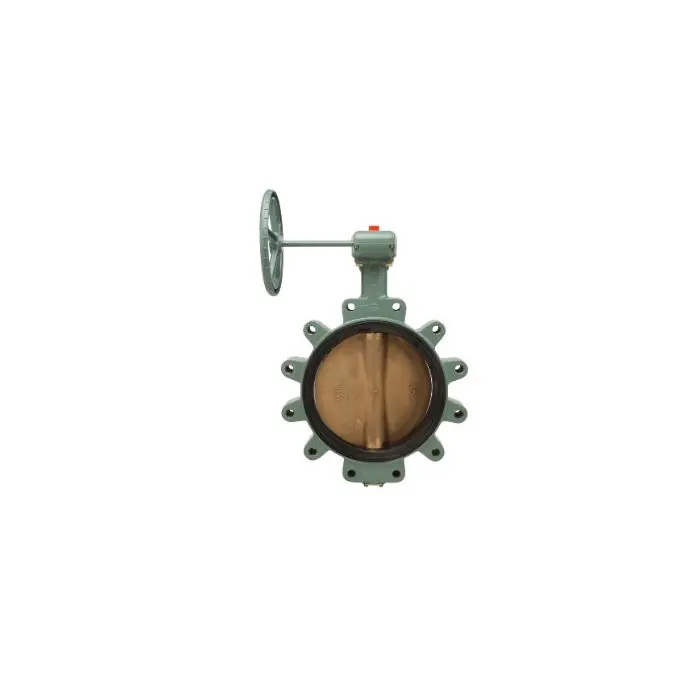 Kitz 6133EG-800 Butterfly Valve - 2 inches - 250 PSI