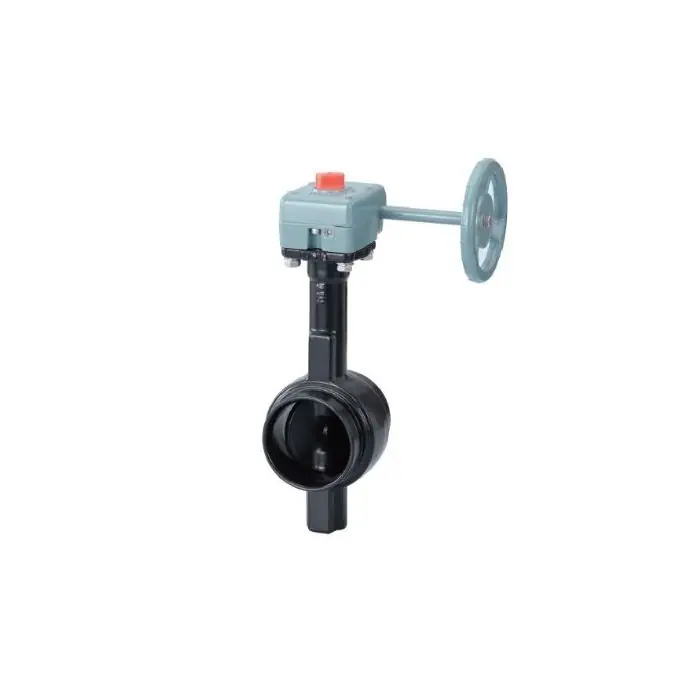 Kitz 4244G-910 10G-300SG Butterfly Valve