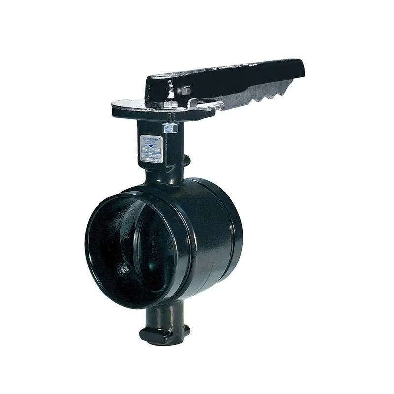 Anvil Gruvlok 7005300020(AN7721-3) 7700 Butterfly Valve With 10 Position Lever Lock For Grooved-End Pipe * CLEARANCE *