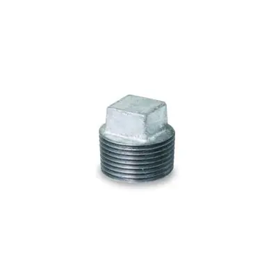 EVERFLOW GMPL2000 Galvanized Malleable Iron Plug, 2 * CLEARANCE *