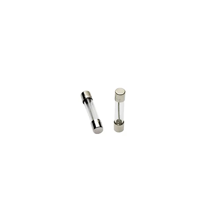 Mersen GDL3/10 FER Time Delay Miniature Fuse, 0.3 A, 250 VAC