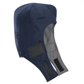 BULWARK HNL2NVRGM HNL2 NVR GM