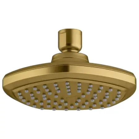 Kohler 27050-2MB CCN 2.5 1F SHWRHD OCCASI VBMB