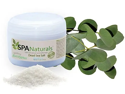 INSPARATION 591 Spa Naturals Dead Sea Salt Crystals Eucalyptus 11oz